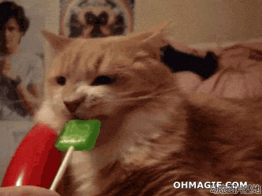 猫咪爱吃糖的作品图片