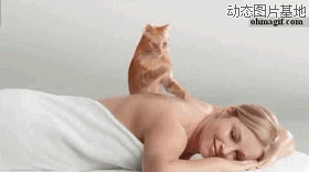 猫咪按摩动态图片:萌猫,按摩
