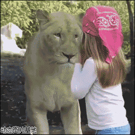 小女孩和狮子图片:搞笑,动物,小孩