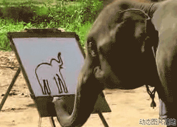 大象动态图片大全图片