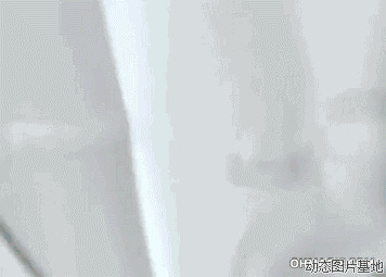 婚礼搞笑动态图片