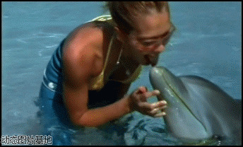 微拍海豚美女图片