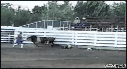 西班牙斗牛意外视频图片