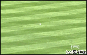 国际棒球比赛图片:搞笑,人物,逗比