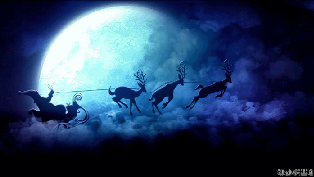 圣诞小鹿图片:圣诞节,圣诞