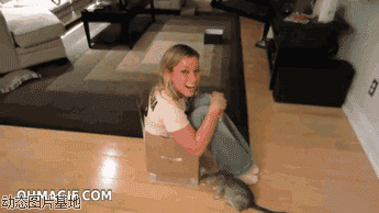 cf美女搞笑动态图片:美女,做纸箱