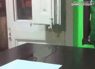 加菲猫乐扣水杯图片:猫猫,扣水杯