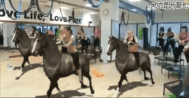 骑马舞动态图片:美女,骑马舞