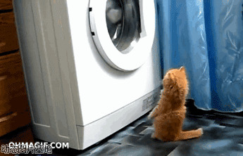 洗衣机搞笑视频图片
