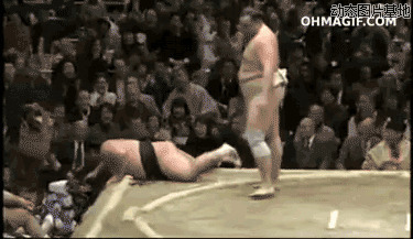 日本相扑视频图片