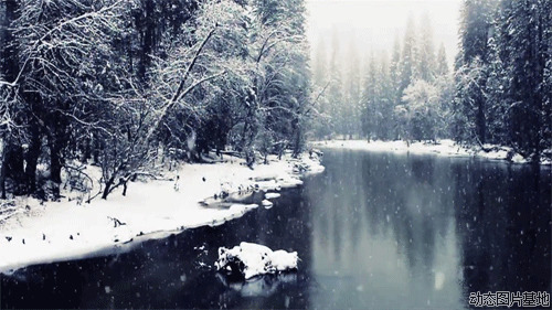 唯美动态雪景图片