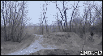 特技自行车图片:搞笑,骑车,特技