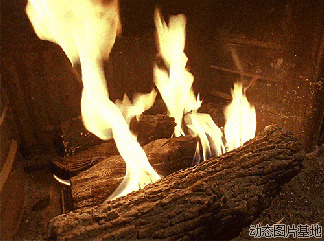 燃烧的木材动态图片