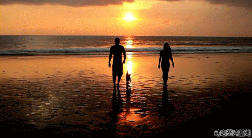 海滩一家人图片