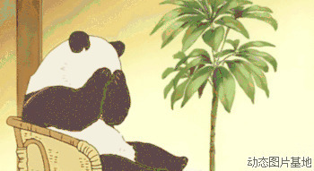 熊猫的卡通图片