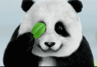 大熊猫卖萌图片