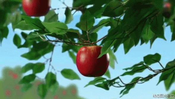 红苹果动态图片