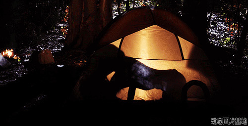 帐篷夜营图片