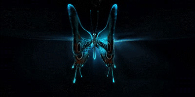 荧光蝴蝶动态图片