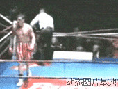 搞笑拳击比赛视频图片