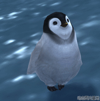 企鹅表情图片: