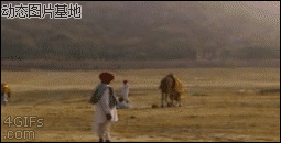 骆驼趾图片狠一点的图片:骆驼,踢人