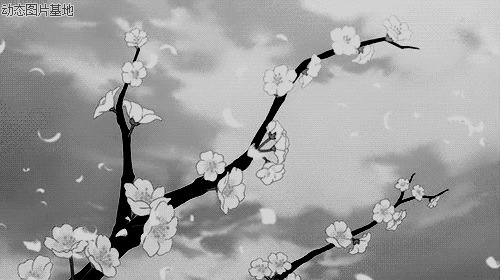 花瓣纷飞动态图片:花瓣,动漫,唯美,黑白,梦幻,风景,    