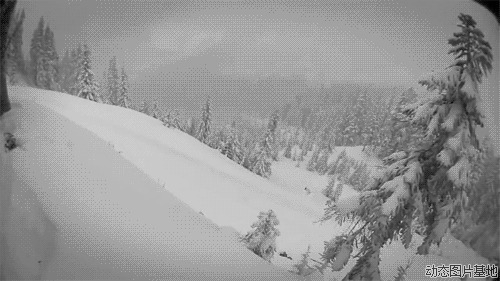 滑雪大冒险冬季图片:滑雪,搞笑,体育,游戏,人物,牛人,唯美,黑白,,风景,        