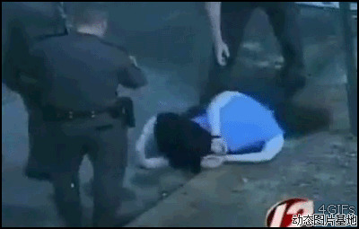 美国警察执法视频图片