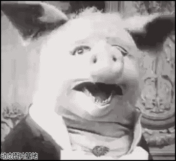 猪猪侠搞笑动态表情图片:搞笑,动物,逗比