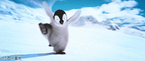 小企鹅波鲁鲁图片