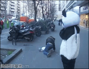 大熊猫在国外纪录片图片:熊猫,恶搞