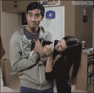 宠物猫猫图片:搞笑,动物,逗比