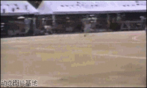 百米赛跑小游戏图片:百米,赛跑