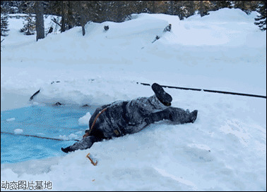 国外动态图片:滑雪,恶搞