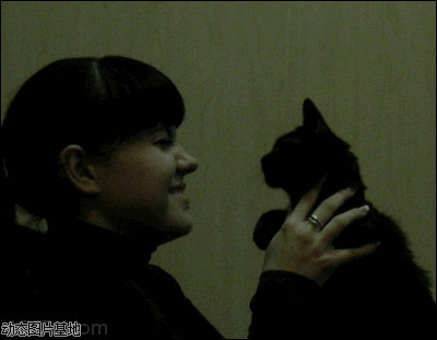 蜜桃小黑猫图片:搞笑,动物,逗比