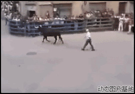 最新西班牙斗牛视频图片