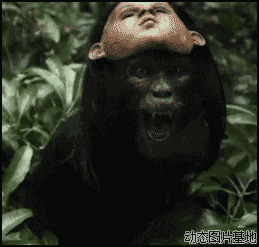 猴子戴面具人面兽心图片