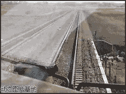 火车撞牛图片