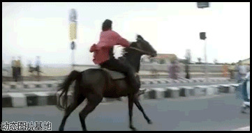 骑马飞奔动态图片:骑马,表演