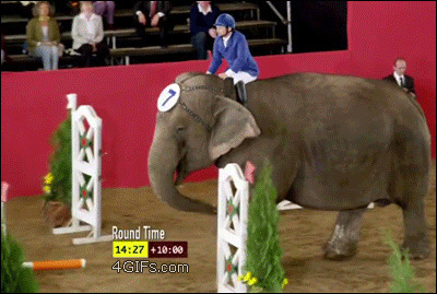 梦幻西游2超级大象图片:大象,游戏