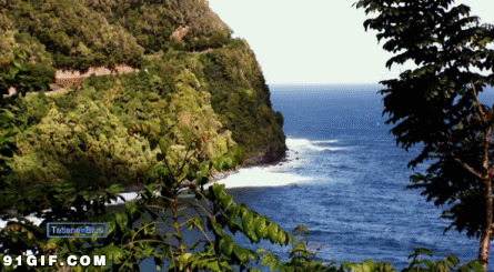 绿树相映蓝色海洋风景图片
