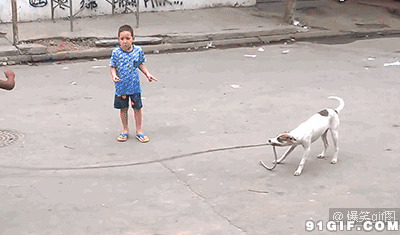 狗狗甩绳跳大绳搞笑图片:狗狗,跳绳