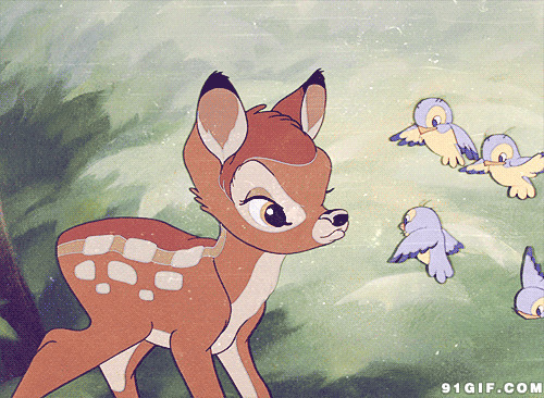 卡通小花鹿和小鸟图片