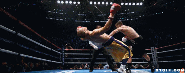 凶猛拳击手视频图片:拳击