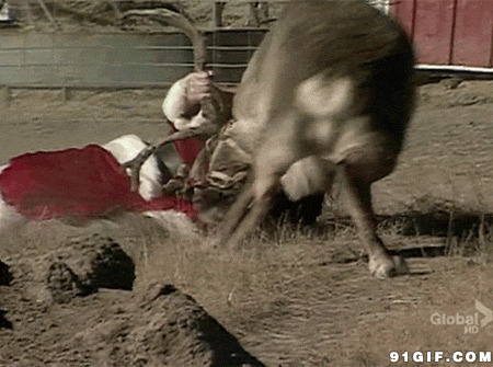 圣诞老人斗牛搞笑动态图片:斗牛