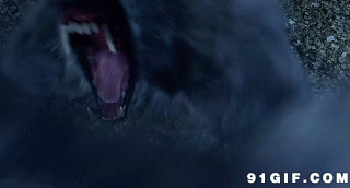 怪兽发狂动态视频图片:怪兽,獠牙
