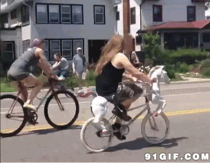 自制马车搞笑动态图片:自行车