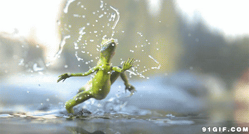 水上奔跑的卡通青蛙图片:青蛙