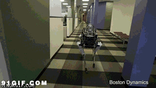 脚踢机器人视频图片:机器人